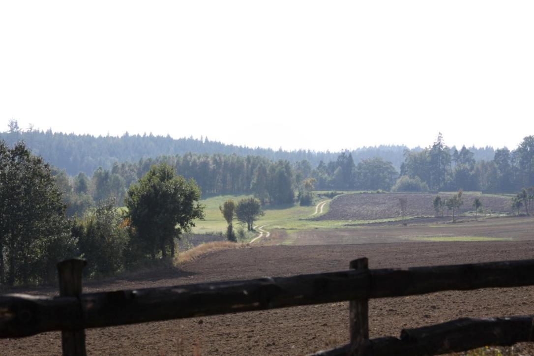 Widokowka Kaszuby Villa Mirachowo ภายนอก รูปภาพ