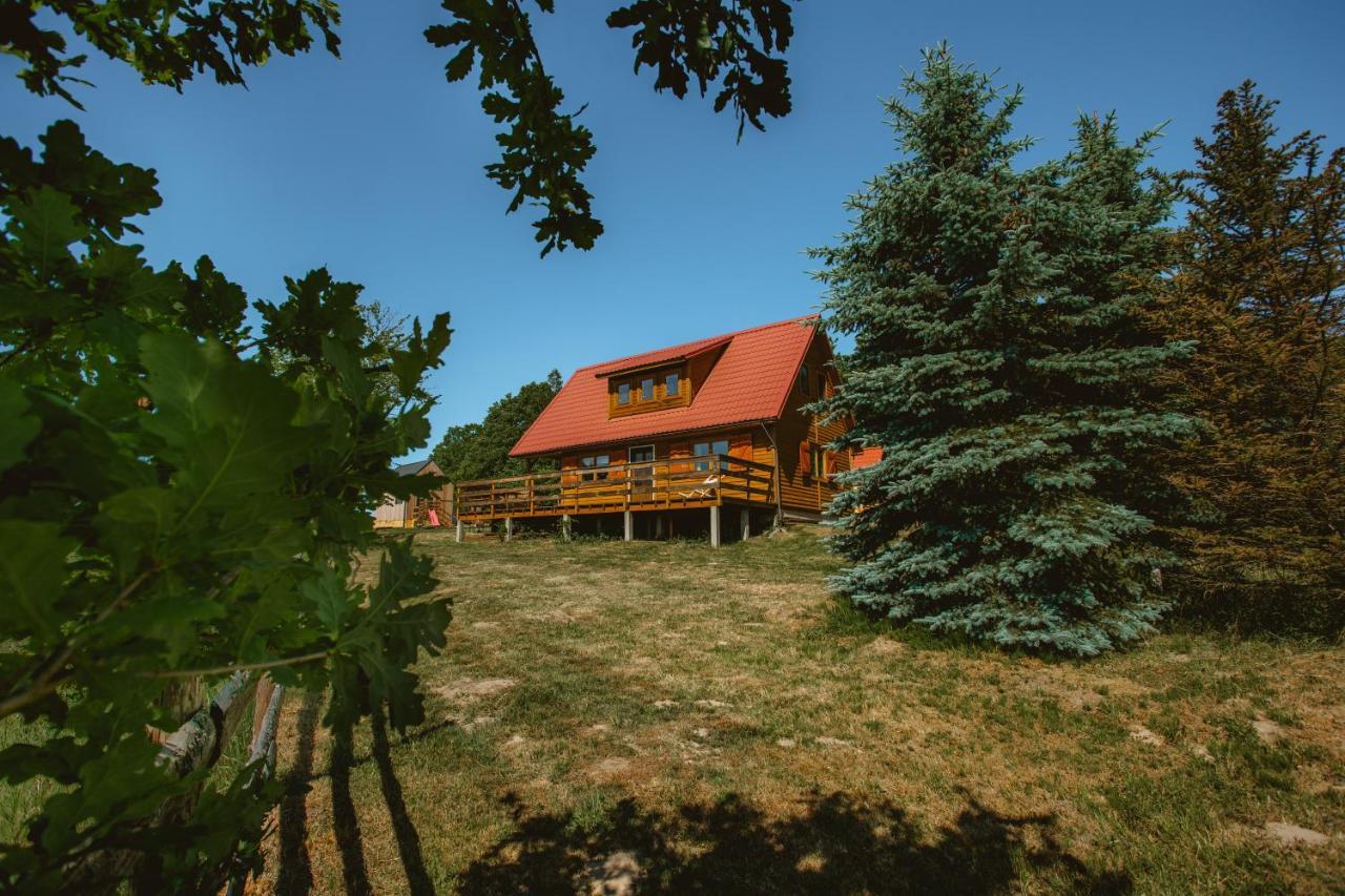Widokowka Kaszuby Villa Mirachowo ภายนอก รูปภาพ