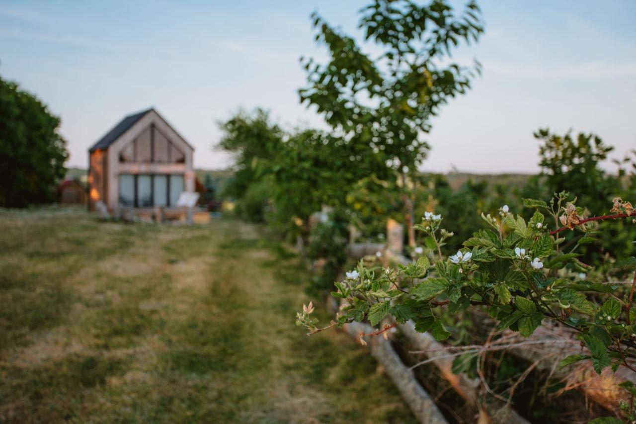 Widokowka Kaszuby Villa Mirachowo ภายนอก รูปภาพ